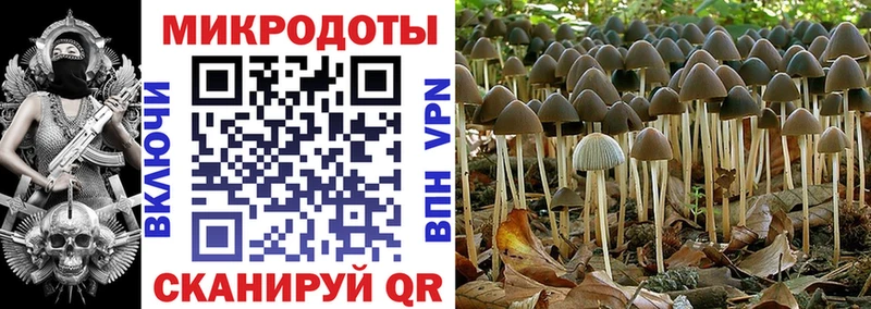 Галлюциногенные грибы GOLDEN TEACHER  Чекалин 